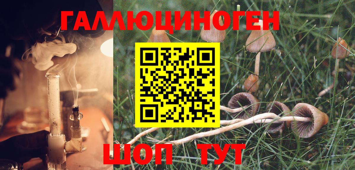 Псилоцибиновые грибы ЛСД Орёл