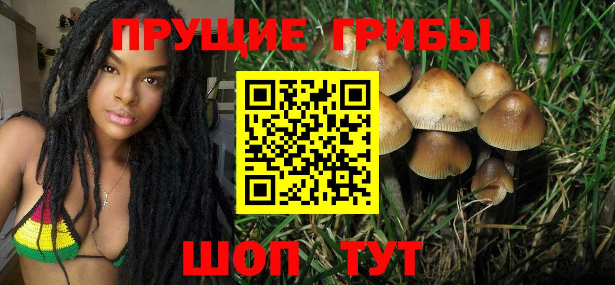 Галлюциногенные грибы Cubensis  Галлюциногенные грибы ЛСД  Орёл  Вход с VPN 